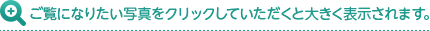 ご覧になりたい写真をクリックしていただくと大きく表示されます。