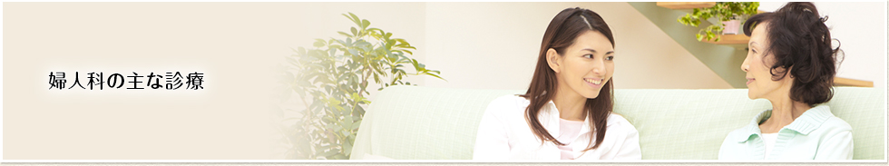 婦人科の主な診療