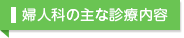 婦人科の主な診療内容