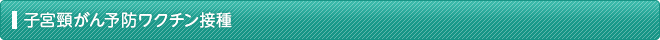 子宮頸がん予防ワクチン接種