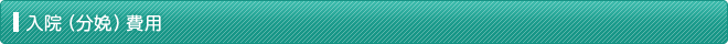 入院（分娩）費用