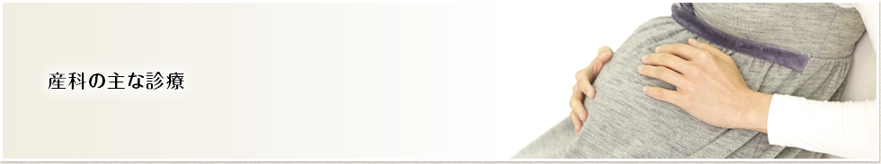 産科の主な診療