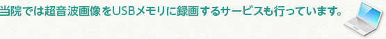 当院では超音波画像をUSBメモリに録画するサービスも行っています。