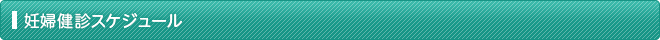 妊婦健診スケジュール